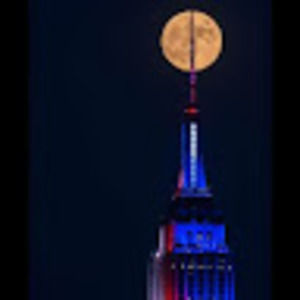 Meet your Posher, Hector